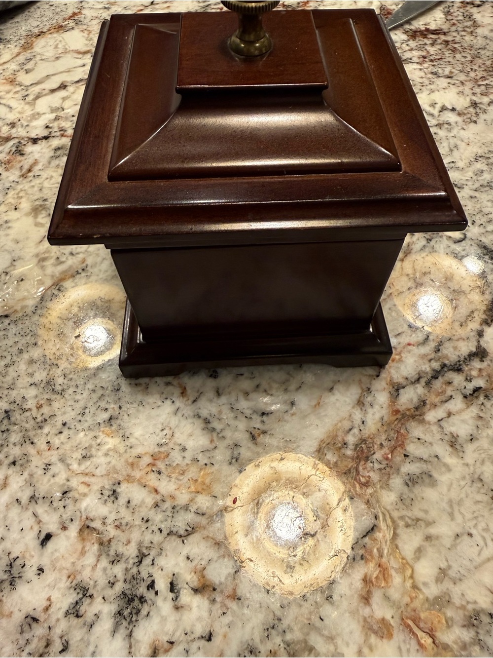 Bombay Dark Brown Wooden Vanity Storage Box with Brass Knob